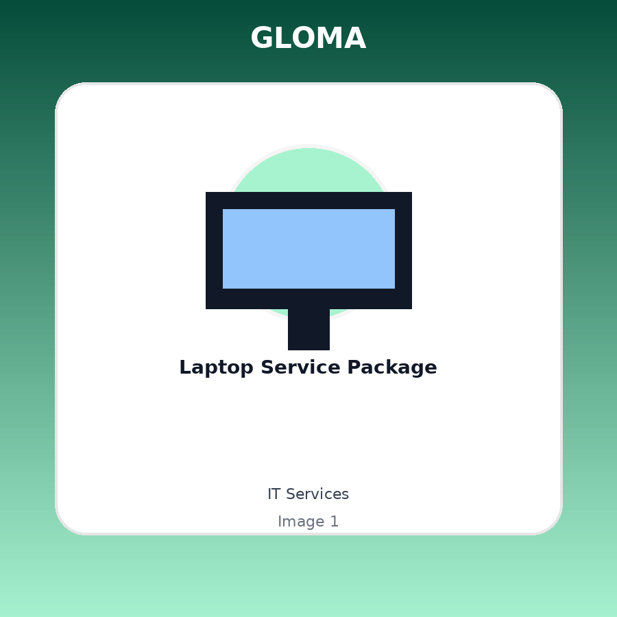 Laptop Service Package