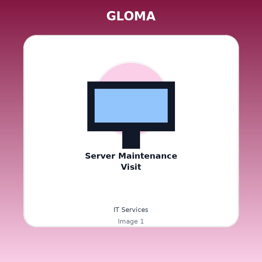Server Maintenance Visit