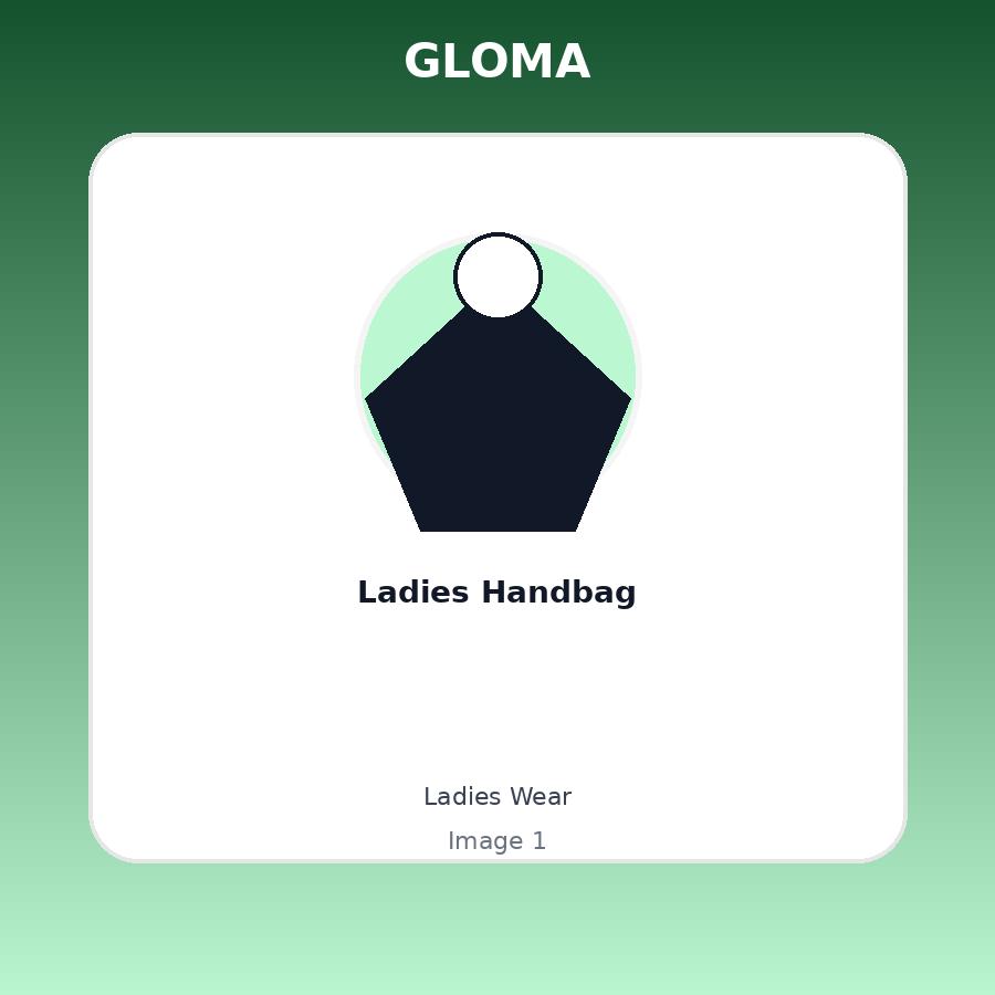 Ladies Handbag