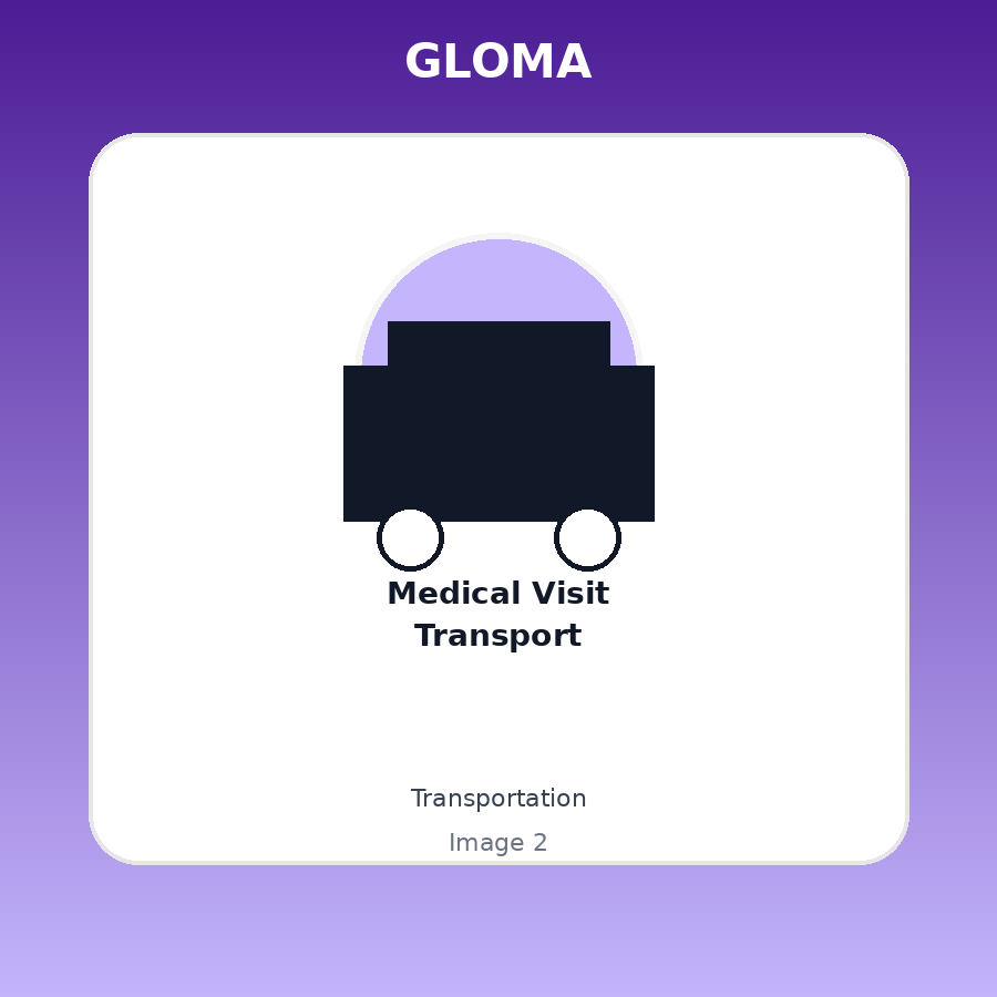 Medical Visit Transport — Angle picture 1